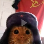 ☭Военный котик☭
