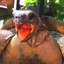 Turtle_Over_Me