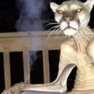 Разгул Гормонов - steam id 76561199138842657