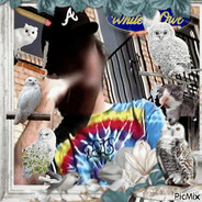 phase