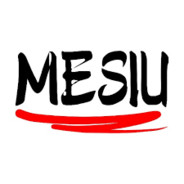 6Mesiu9