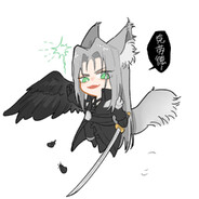 阿米尼伊卡