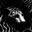 Hypium