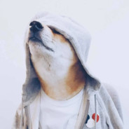 顺丰快递员小郭