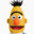 Bert