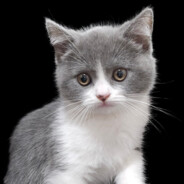 不要逼我压力你哦