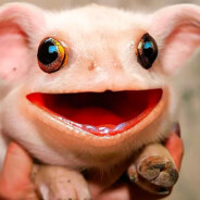 350 - steam id 76561199386229276