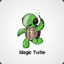 Magic Turtle