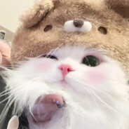 十八岁清纯女大