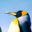 Bauyrzhan_Momyshuly