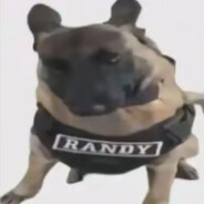 沙仔是一位顶级的禅修