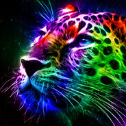 Cat Velk.ca