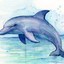 do1phin
