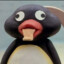 Pingu