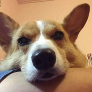 等等，我拉个大电