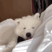 感谢你曾拯救我 “希望的黎明”