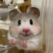 玩家头像
