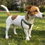 JACK_KILA_187