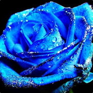 Blue-Rose