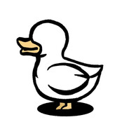 duck