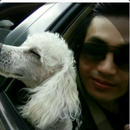 电脑玩家 你爸爸