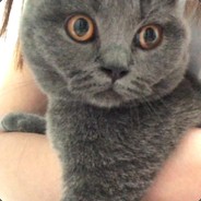 陪我去吹海风吧