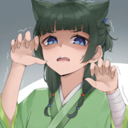 究极无敌猫猫奴