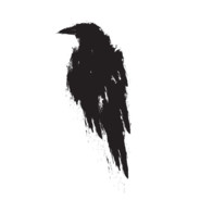 Crow