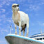 Goat on a Boat