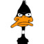 Black_Duck