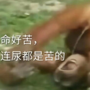 80岁老头扶墙打