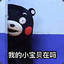 八百标兵奔北坡