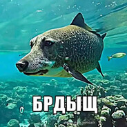 мелочь пузатая