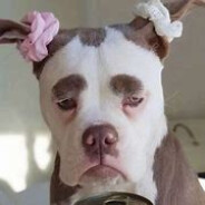 旋转跳跃闭着眼的阿泽