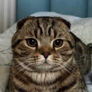 evs - steam id 76561198130122140