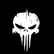 THE PUNISHER