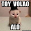 ToyVolaoAlo