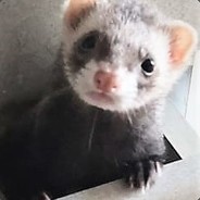yeyckXx's Avatar