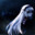 BlackLily.-
