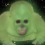 juanIWANO