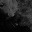 ZXC | DarkLaybel | 외로운 늑