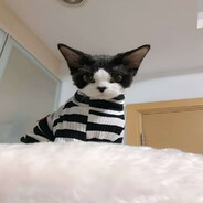 качика круз