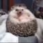Happy Hedgehog™