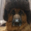 MAKSANDLUPUS7