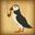 Puffin