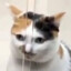 blybub