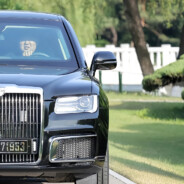 娃哈哈啤儿茶爽