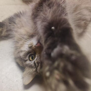 完蛋！我被南通包围了