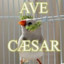 AveCaesar