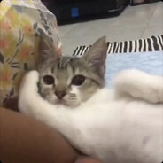 我直呼好家伙